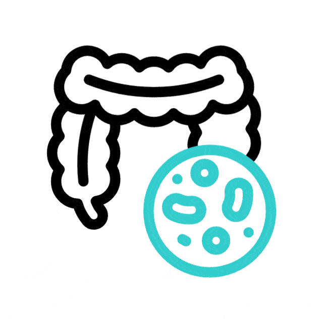 human-gut
