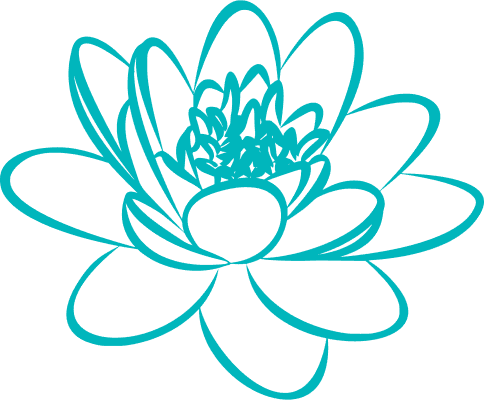 Floating lotus flower