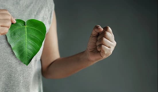 Environmental & Lifestyle Detox 